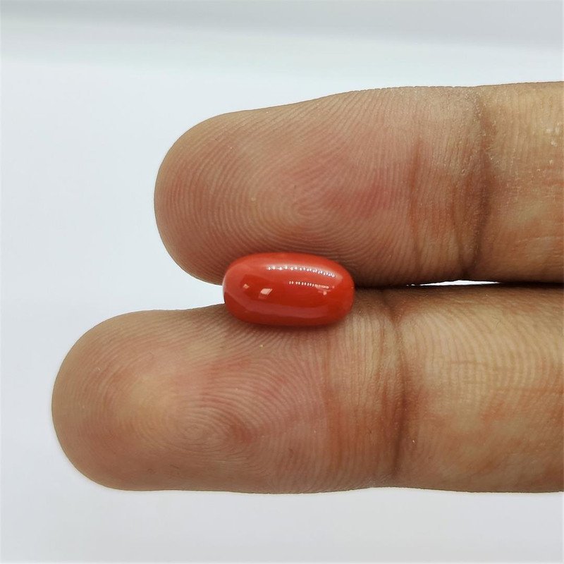 Kalyan Gems Buy Red Coral Stone Original ( lal moonga ) Italian Capsule Cut Munga Gemstone 2.25 Ct to 15 Ct