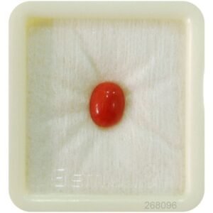 Kalyan Gems Buy Japanese Red Coral Stone Original ( lal moonga ) Oval Cut Munga Gemstone 2.25 Ct to 15 Ct