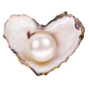 Kalyan Gems  Pearl Stone Original Certified Round Mukta Natural Moti Gemstone 2.25 Ct to 15 Ct