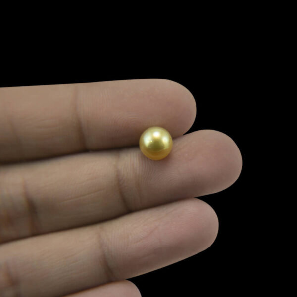 Golden-Pearl
