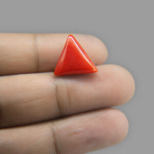 Kalyan Gems   Red Coral Gemstone Original Certified ( lal moonga ) Triangle Shape  Munga Gemstone 2.25 Carat to 15 Carat