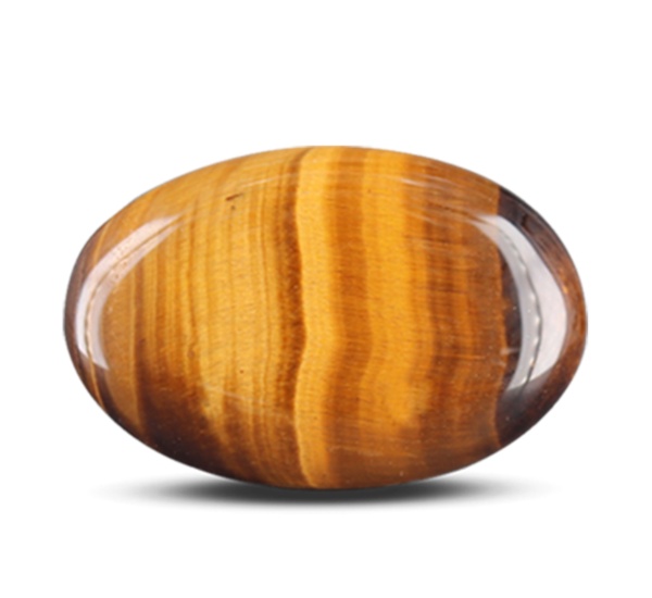 Tiger-Eye-1